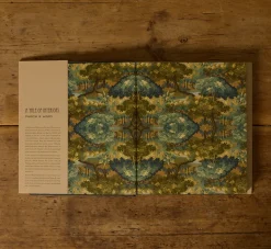 Pierce & Ward A TALE OF INTERIORS BY | Books & Bookends | Pierce & Ward Collection