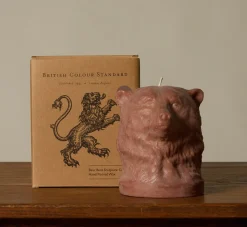 Pierce & Ward BRITISH COLOUR STANDARD ANIMAL HEAD BEAR CANDLE IN ROSE BEIGE | Candlesticks & Candles