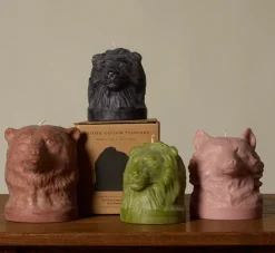 Pierce & Ward BRITISH COLOUR STANDARD ANIMAL HEAD BEAR CANDLE IN ROSE BEIGE | Candlesticks & Candles
