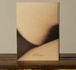 Pierce & Ward DAVID LYNCH: DIGITAL NUDES BOOK | Books & Bookends