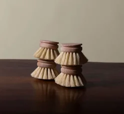 Pierce & Ward DISH BRUSH REPLACEMENT HEAD | Kitchen