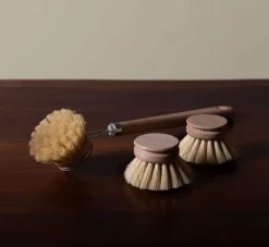 Pierce & Ward DISH BRUSH WITH BEECHWOOD HANDLE | Kitchen