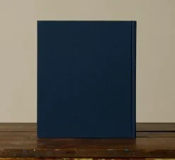 Pierce & Ward NOAH DAVIS: IN DETAIL | Books & Bookends