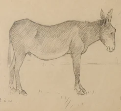 Pierce & Ward 1930S FRENCH PENCIL DRAWING OF A DONKEY | Art
