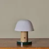 Pierce & Ward SETAGO PORTABLE LAMP JH27 IN NUDE/FOREST | Lighting