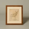 Pierce & Ward 20TH CENTURY DEER PRINT | Art