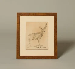 Pierce & Ward 20TH CENTURY DEER PRINT | Art