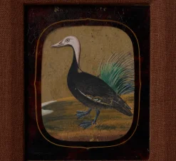 Pierce & Ward 19TH CENTURY PORTRAIT OF A DUCK ON GLASS | Art