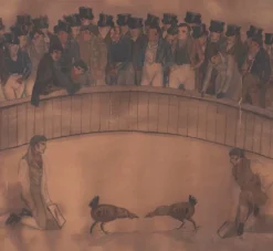 Pierce & Ward 19TH CENTURY WATERCOLOR OF COCK FIGHT | Art